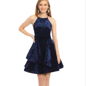 Camille la vie velvet dress